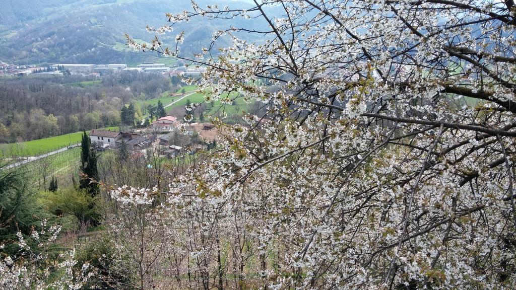 Agriturismo Il Mirabile Bed and Breakfast Trescore Balneario Eksteriør billede